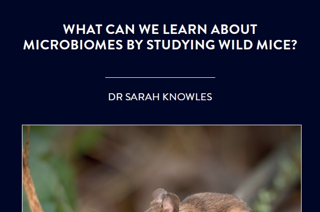 Within every one of us, there lives a thriving community of microscopic life, known as our microbiome. Like most other vertebrates, we […]