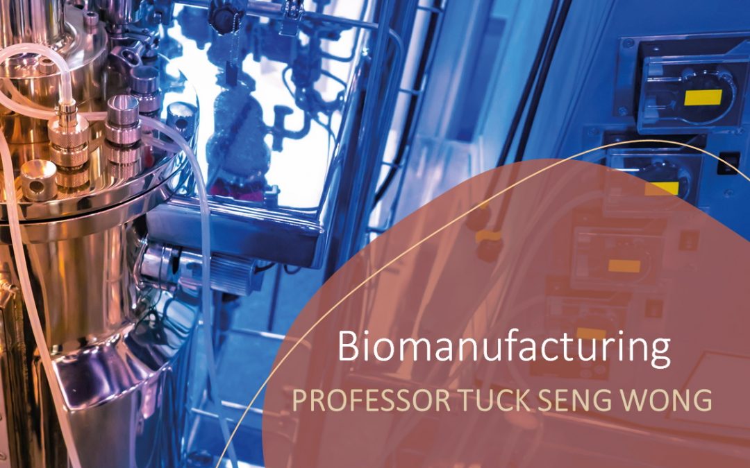 The engineering behind Evolutor