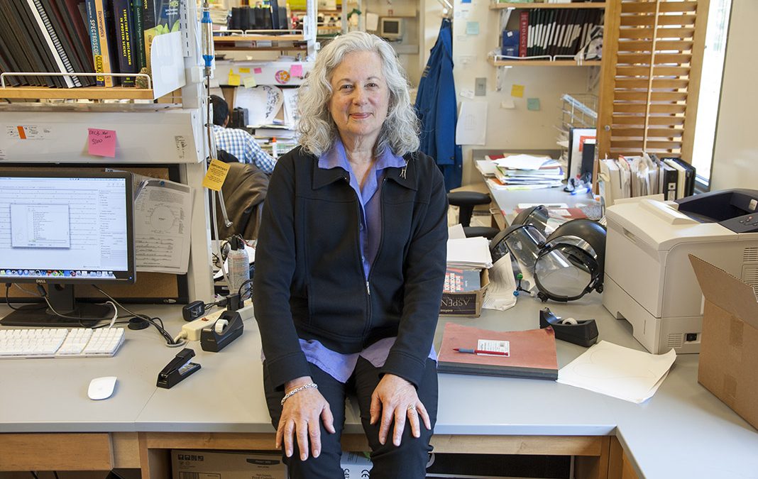 How do enzymes speed up chemical reactions?