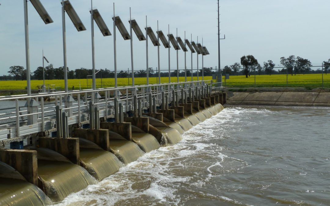 How are control engineers improving the sustainability of irrigated agriculture?