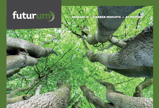 Monitoring the canopy temperature of forests