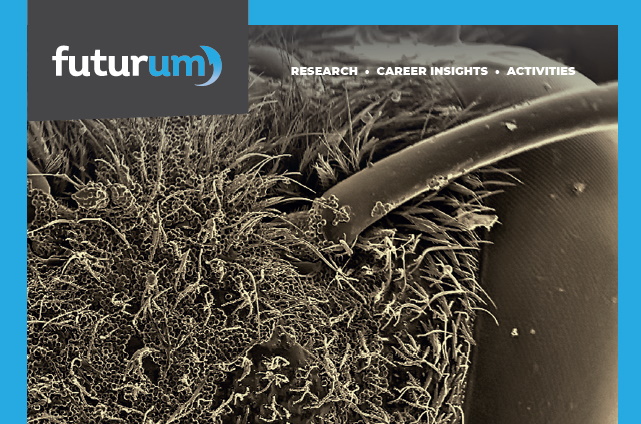 Imaging the invisible: how can research software and imaging techniques help scientists study the things we can’t see?