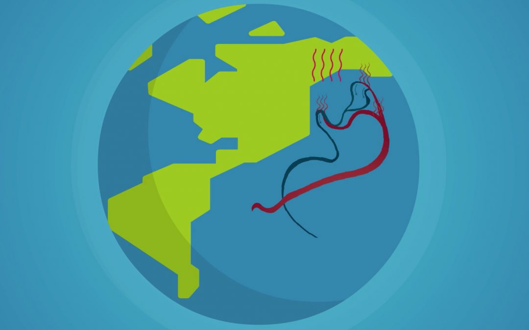 Can we use mud to understand climate change?