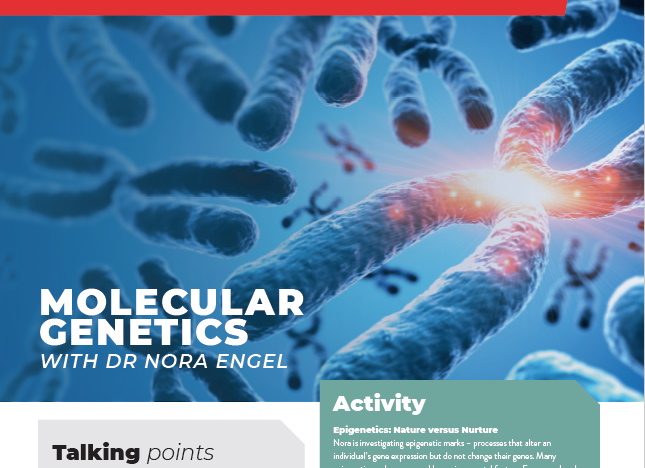 Molecular Genetics