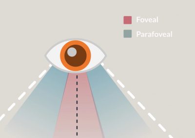 What do eye movements tell us about the psychology of how we read and process words?