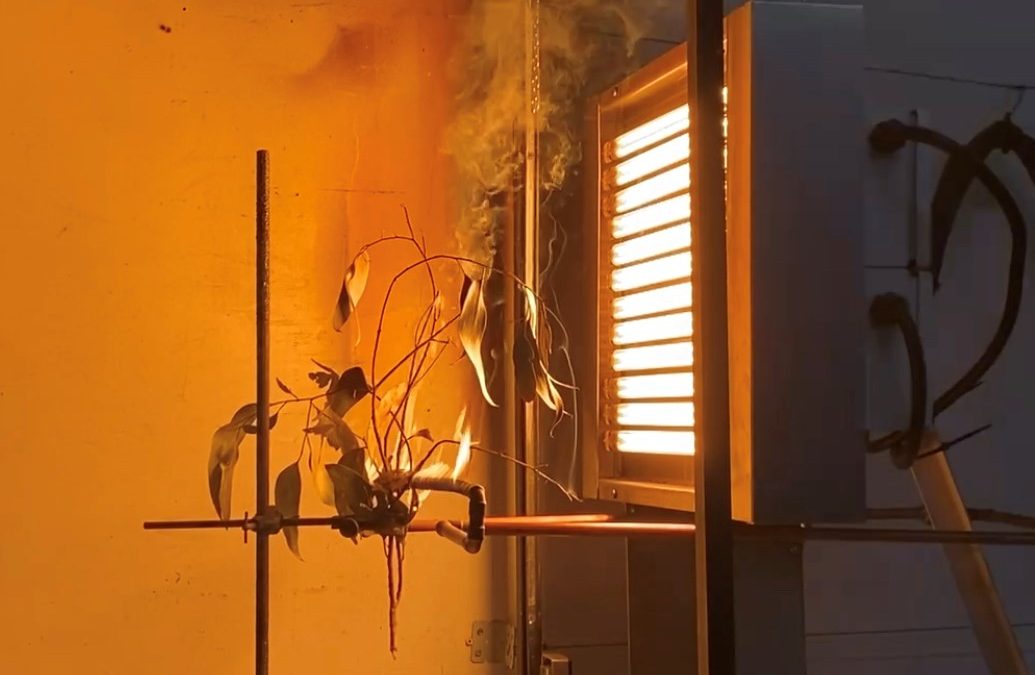 Fire trackers: how can we use modelling techniques to predict where wildfires will occur?