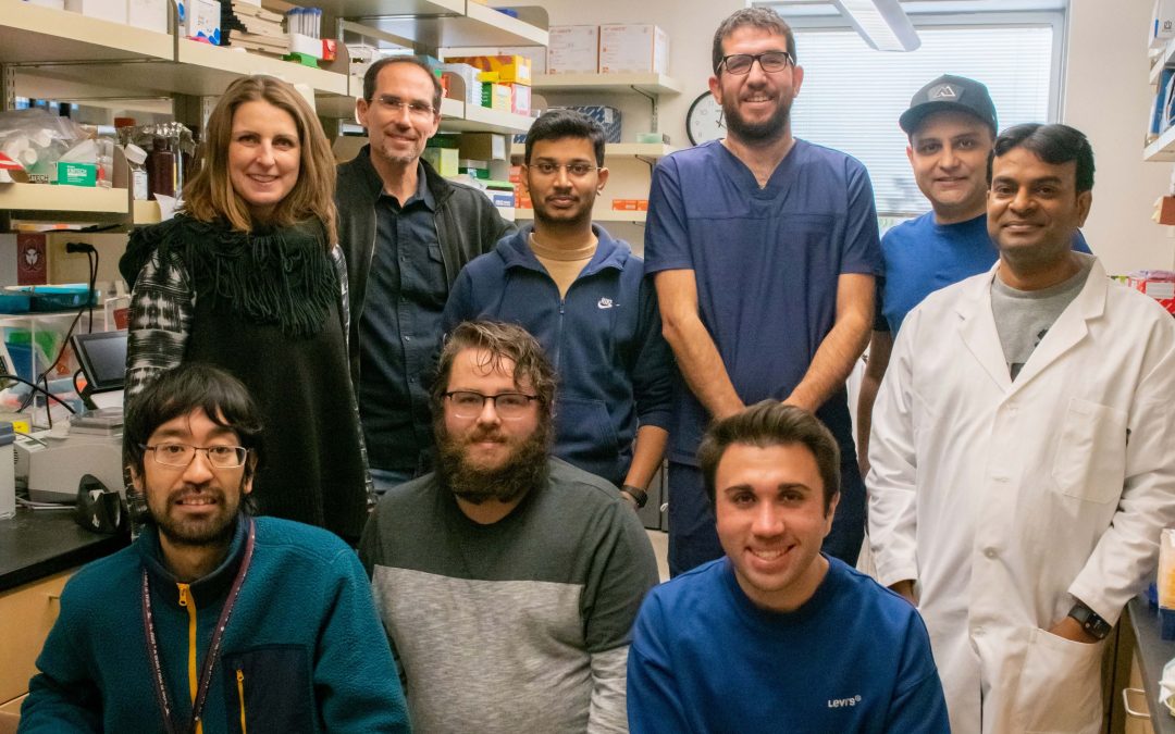 Investigating the root of inflammatory diseases