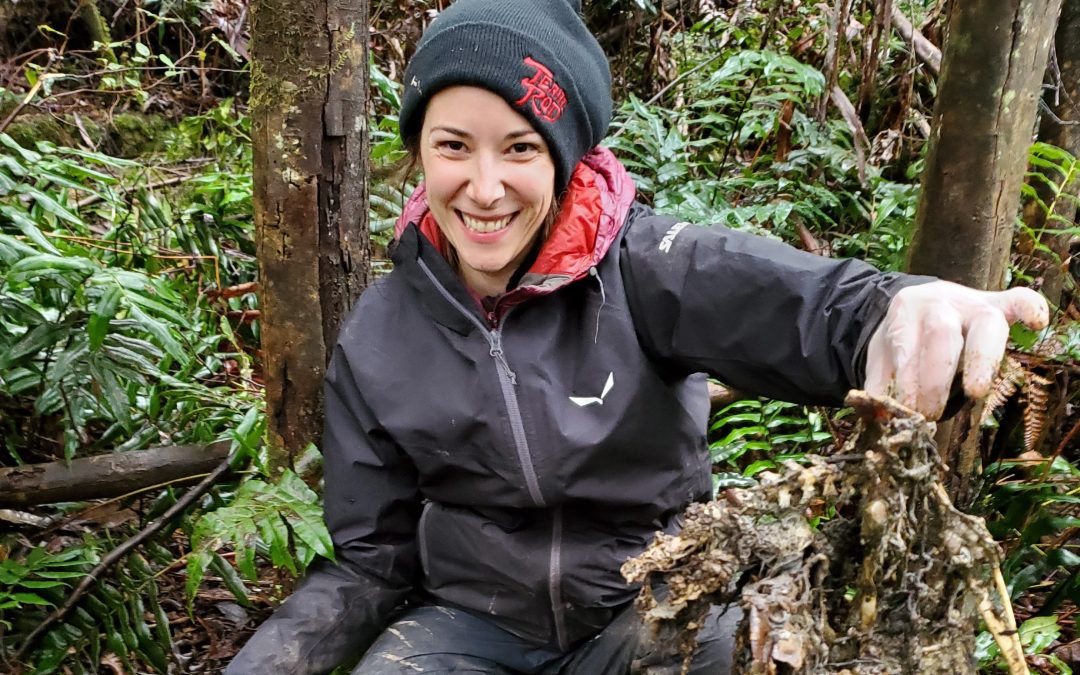 A meal with the devil: how the eating habits of Tasmanian devils affect their ecosystems