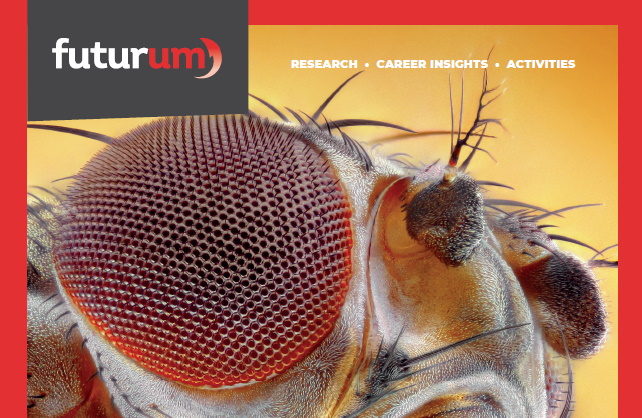 What can fruit flies tell us about virtual reality exercise?