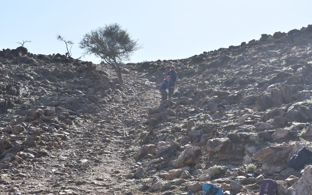 Modelling mines: how can a new 3D modelling platform make mining more sustainable and be part of the solution to climate change?