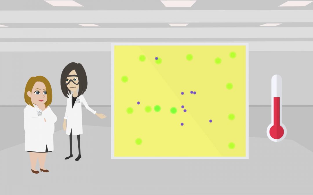 Understanding the atmosphere: What can atmospheric chemistry teach us about air pollution?