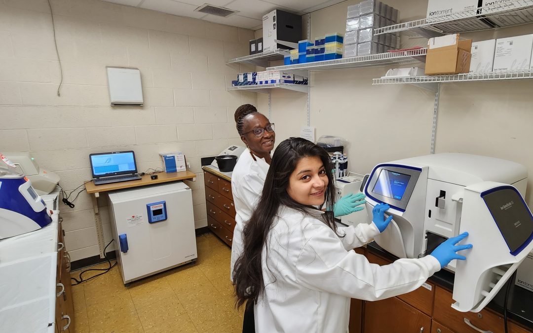 Could a nettle a day keep the doctor away?