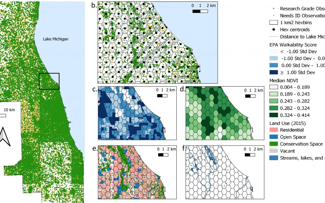 The power of geographic information systems: bringing data to life with maps