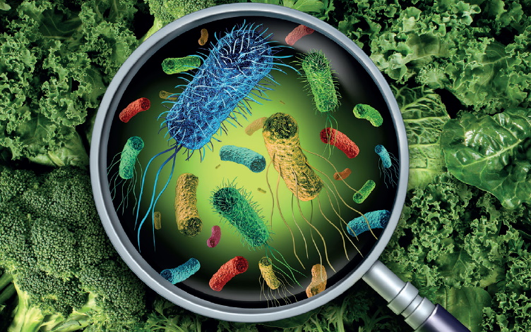 How can we improve food safety across the world?