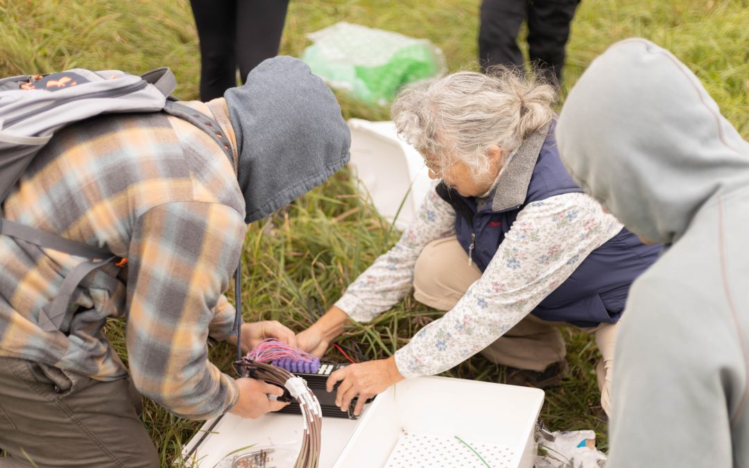 Practical activities to help geoscience students develop the skills they need to succeed