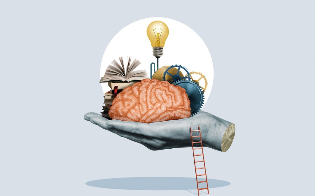 SHAPE in Schools: Changing mindsets in support of social sciences, humanities and the arts