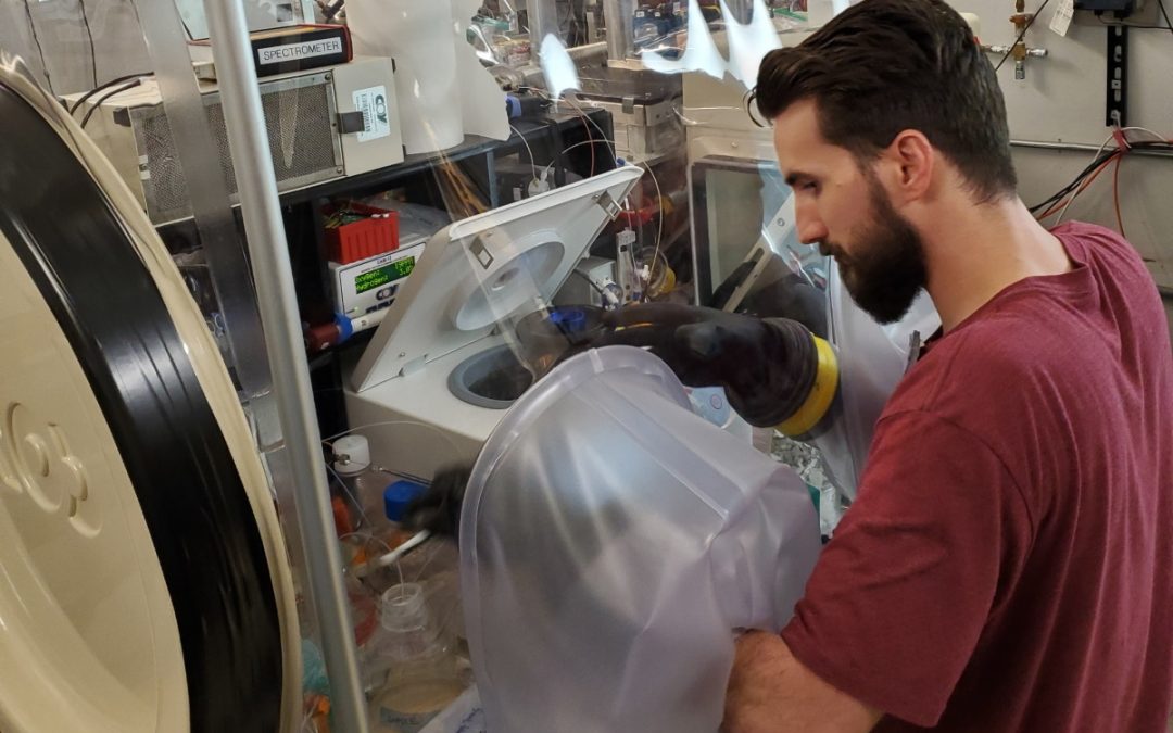 Can soil microbes improve agricultural sustainability?