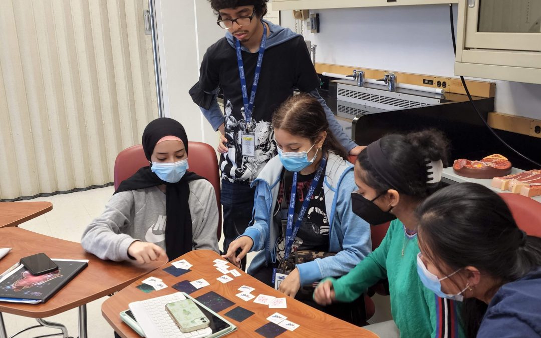 What happens when our blood production system fails?