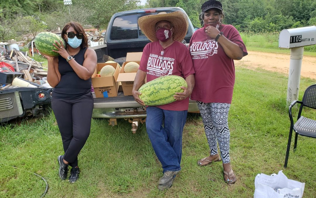 Supporting small farms: how protecting local farms can protect local communities