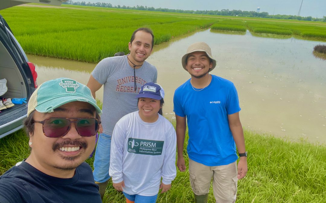 How do bacteria help and harm crops?