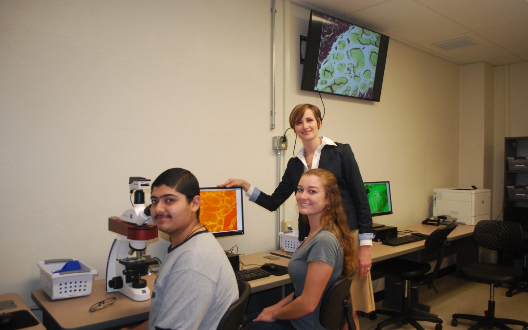 How can first-year STEM university students be better supported?