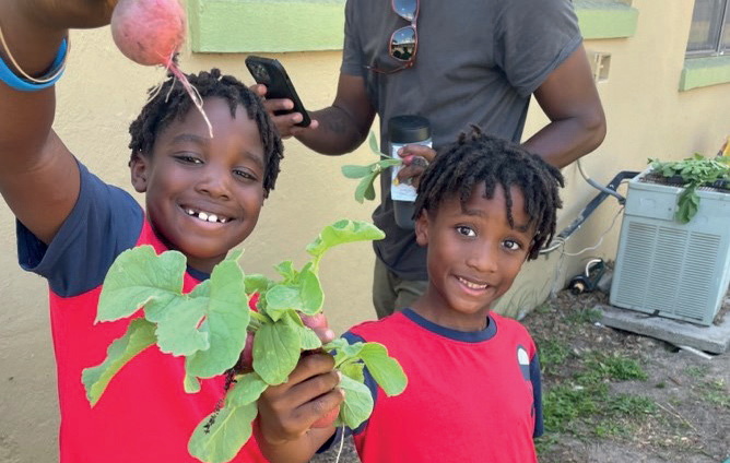 Urban farming for urban families