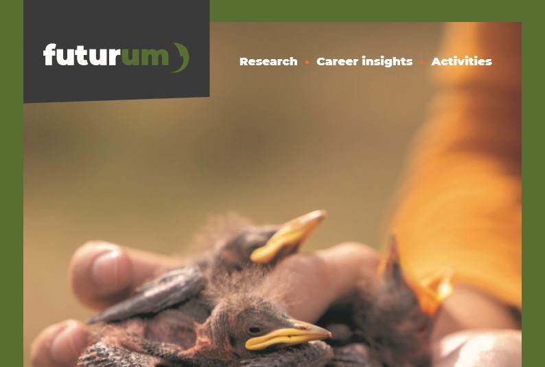 Does city life negatively affect wildlife?