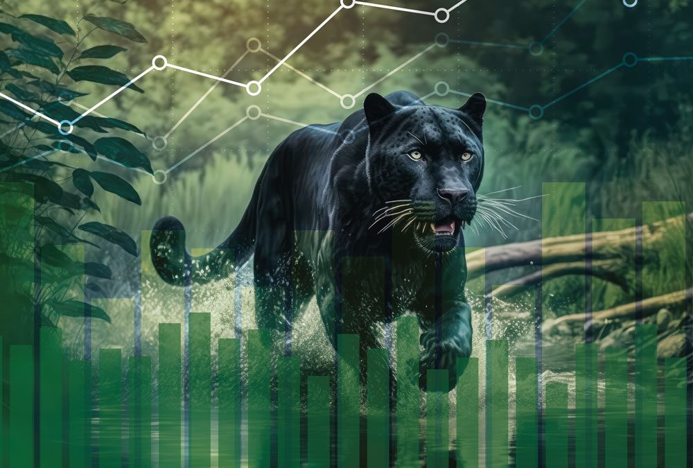 How can statistical models answer ecology’s big questions?