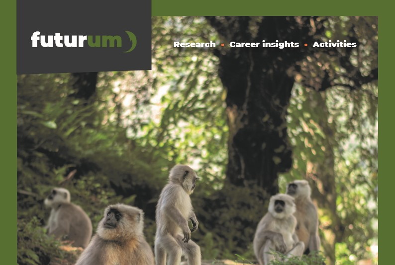 The hidden chemicals affecting primates’ hormones