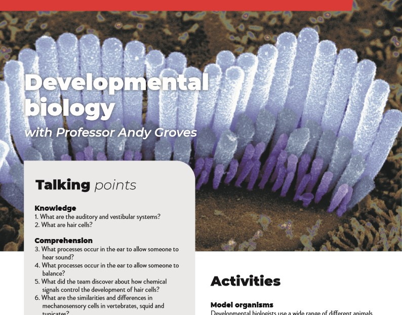 Development biology