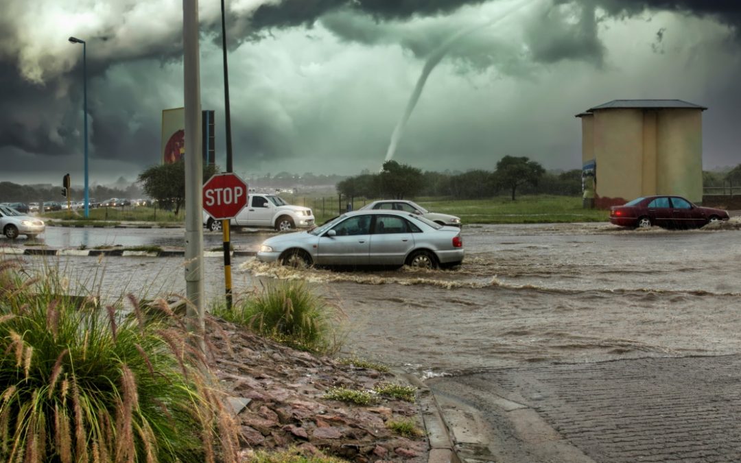 How is climate change affecting accounting and business?