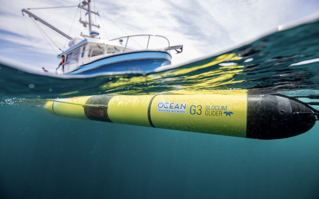 Can statistics help to uncover the ocean’s secrets?