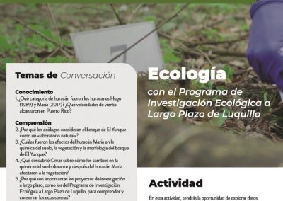 Ecología con el Programa de Investigación Ecológica a Largo Plazo de Luquillo