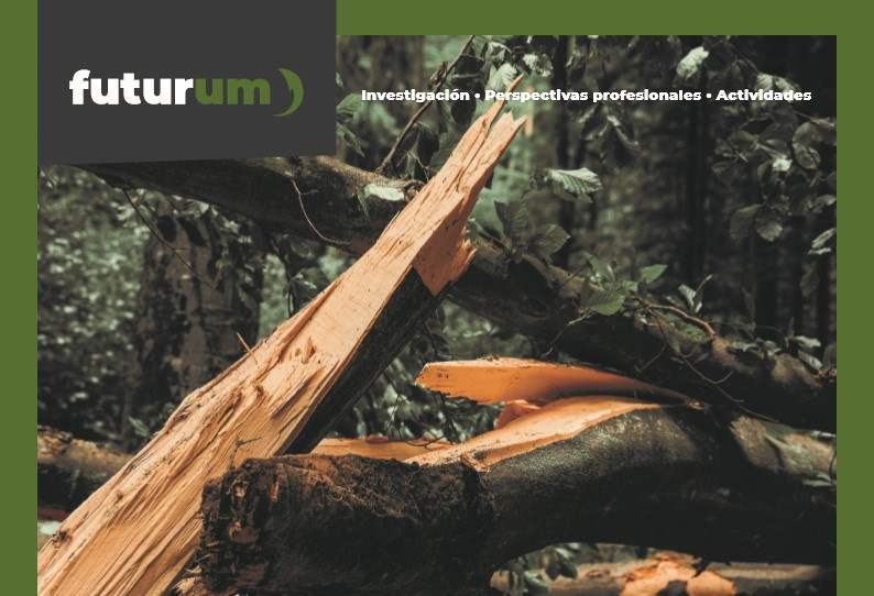 ¿Cuál es el impacto de los huracanes en los ecosistemas forestales?