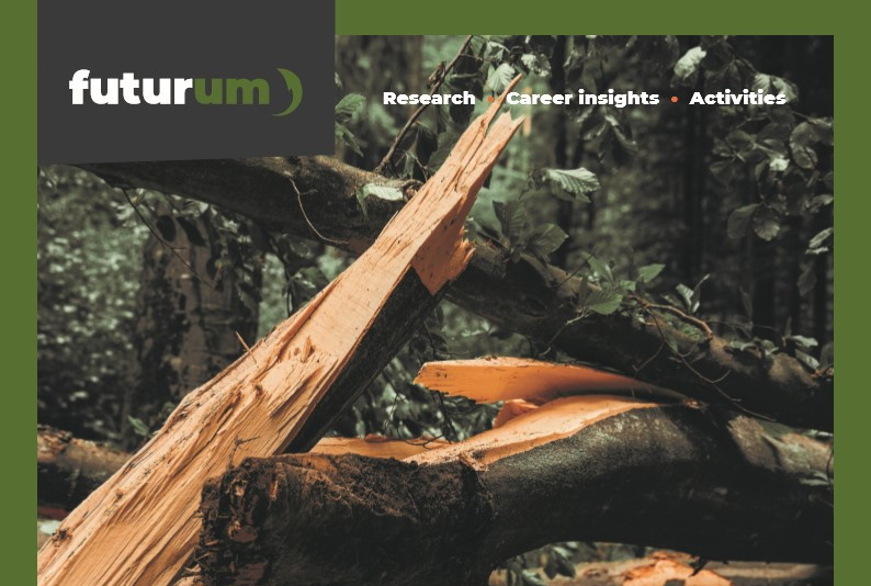 How do hurricanes impact forest ecosystems?