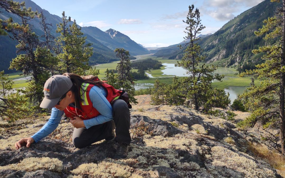 Can we reveal Earth’s secrets by dating faults?