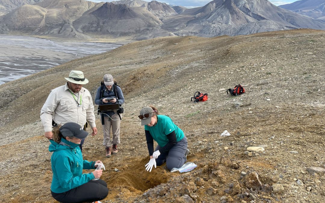What can Arctic rocks teach us about life on Mars?