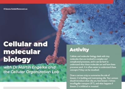 Cellular and molecular biology