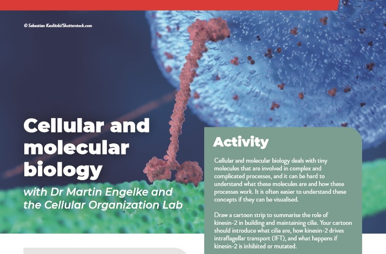 Cellular and molecular biology