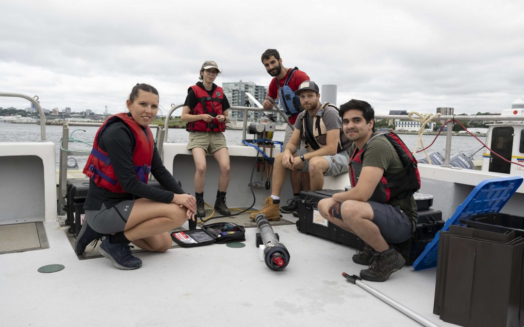 Can ocean alkalinity enhancement reduce atmospheric carbon dioxide?