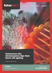 Telomeres: the chromosome tips that stave off ageing