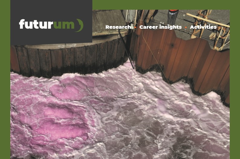 Can ocean alkalinity enhancement reduce atmospheric carbon dioxide?