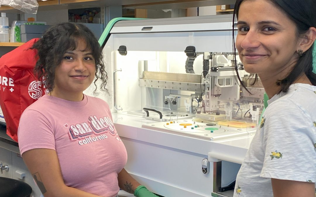 Telomeres: the chromosome tips that stave off ageing