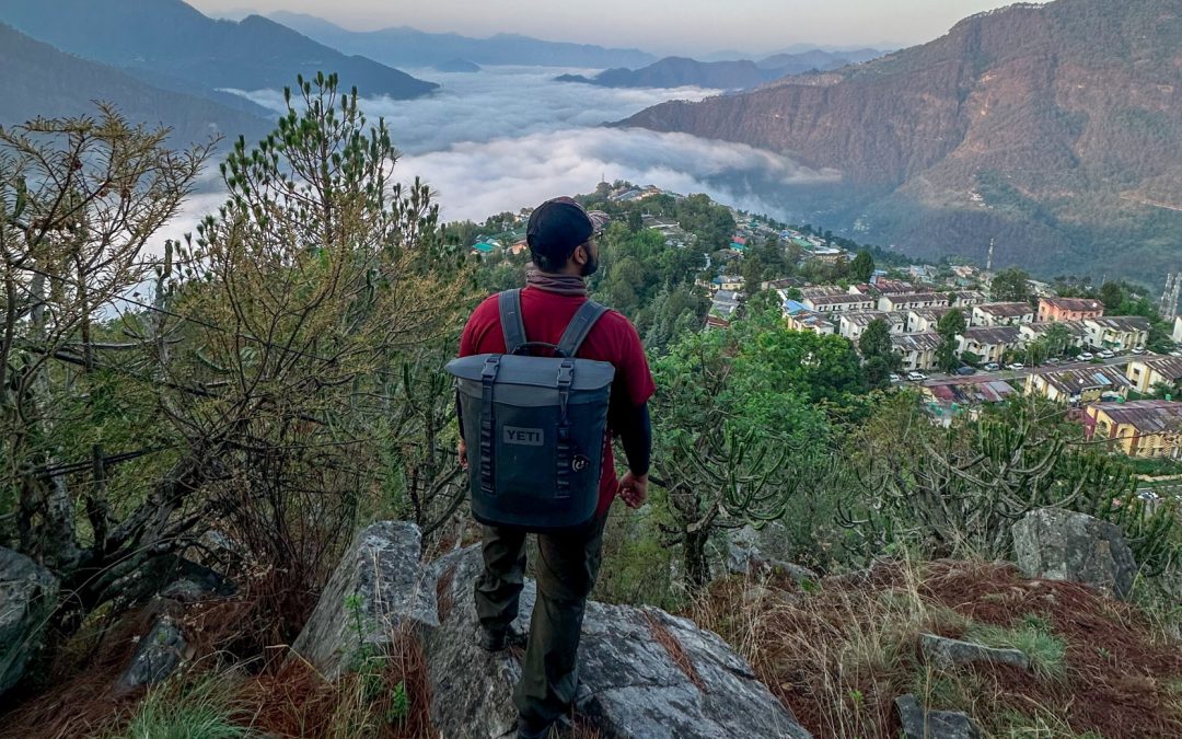 The hidden chemicals affecting primates’ hormones