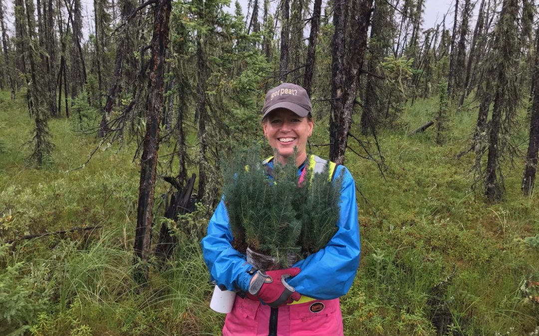 Studying and restoring Canada’s peatlands and their carbon storage superpower