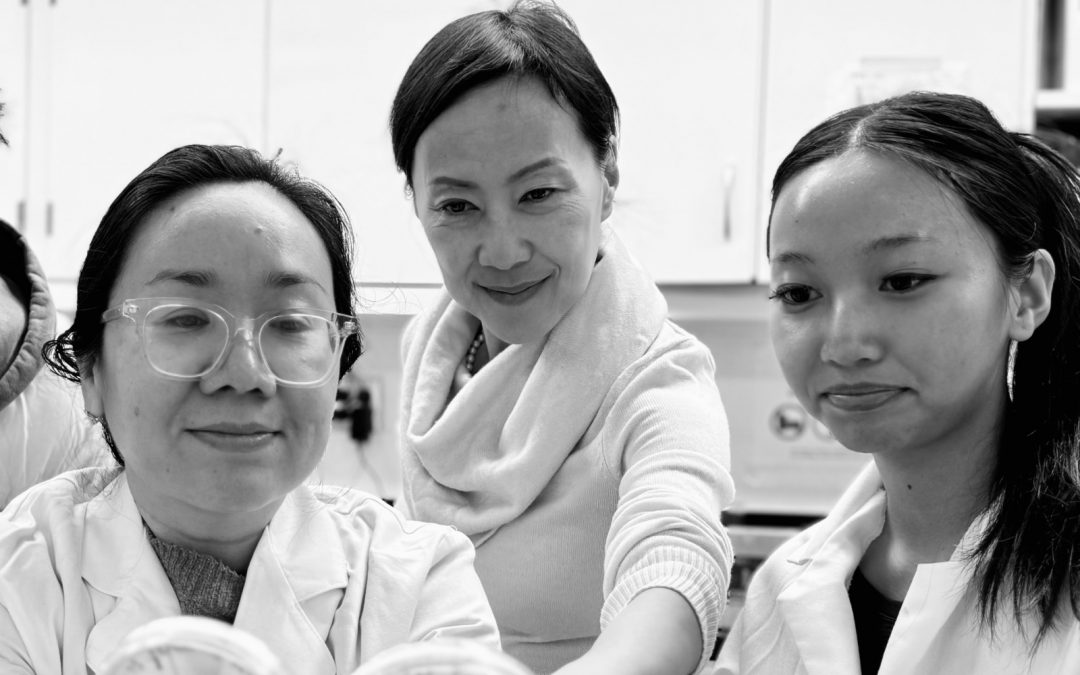 Celebrating women in STEM