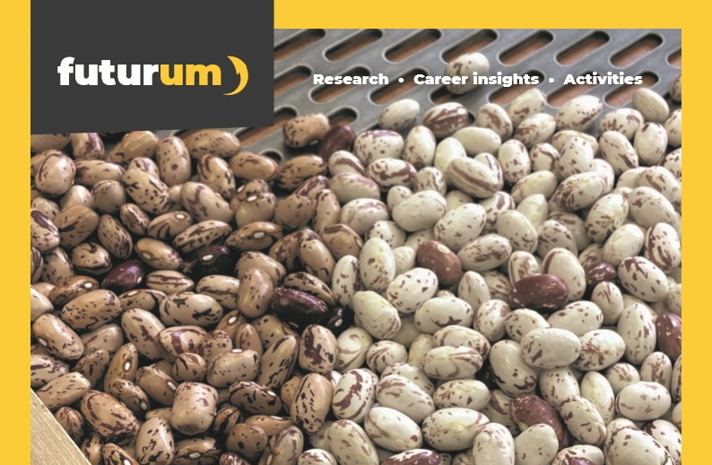 Breeding better beans: how understanding plant genetics can improve the appearance of beans