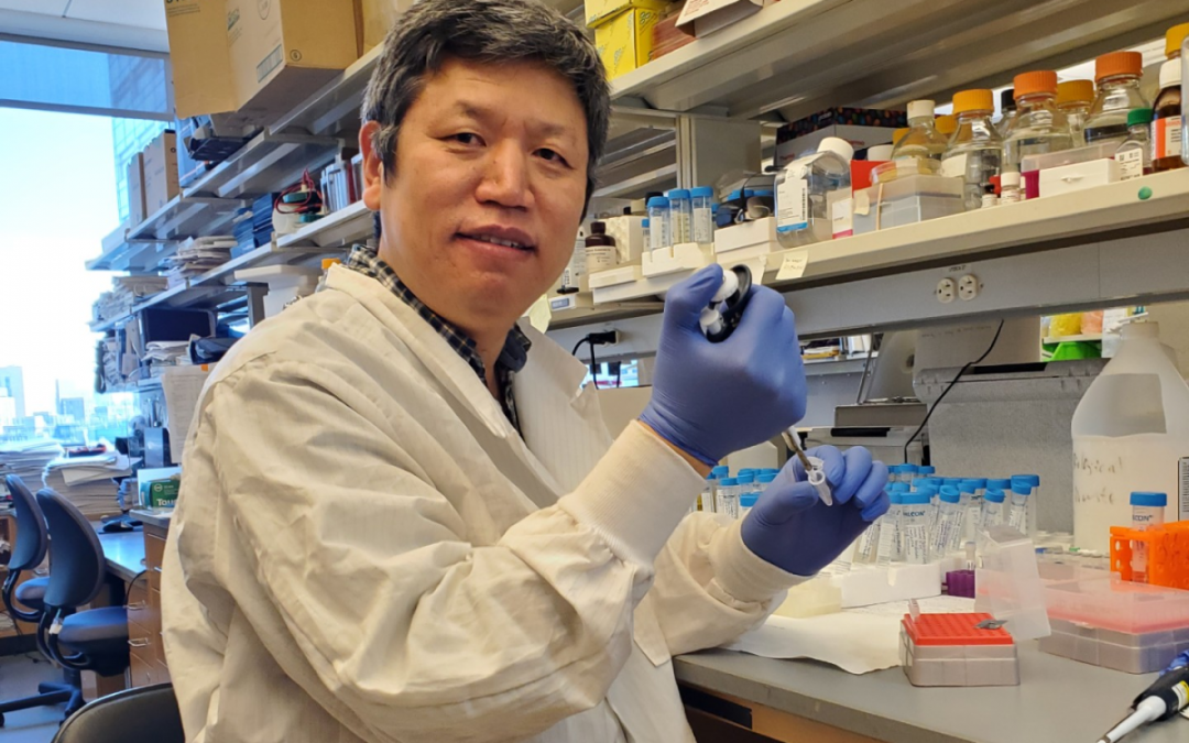 Could ingenious gene therapy prevent health issues associated with Down syndrome?