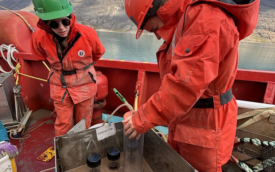 How is carbon stored in seafloor sediments?