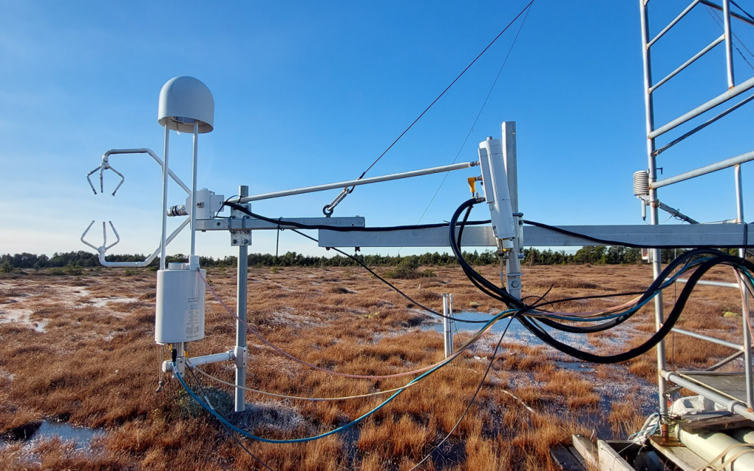 Wetlands in a changing world: the climate benefits of wetlands